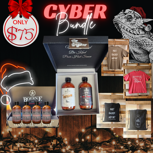 2023 Cyber Monday Deal
